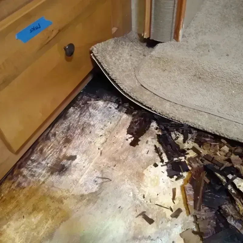 Wood Floor Water Damage in Shelby County, AL